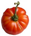 tomate Ararat flame (semillas ecológicas)