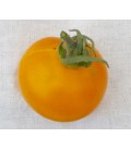 tomate yellow perfection (semillas ecológicas)