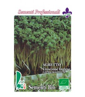 berro de jardín - lepidium sativum - semillas ecológicas