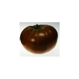tomate Paul Robeson (semillas sin tratamiento)
