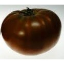 tomate paul robeson