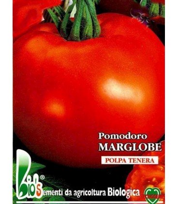 tomate marglobe - semillas ecológicas