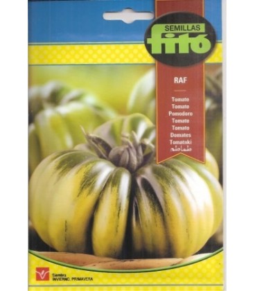 semillas de tomate RAF