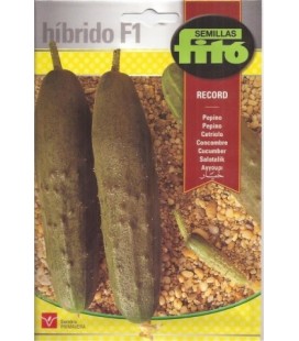 pepino record hídrido f1