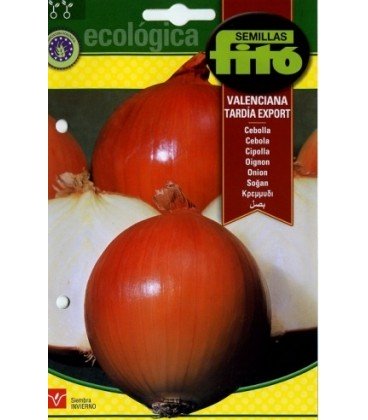 cebolla valenciana tardía - semillas ecológicas