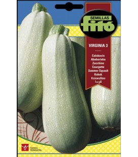 calabacin virginia