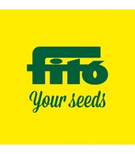 cesped creeping rye - uso intensivo