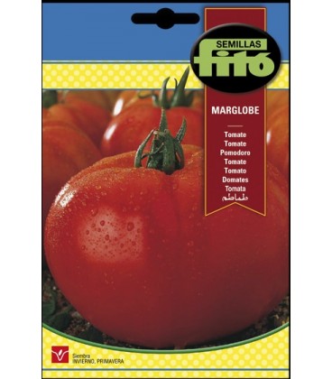 tomate marglobe