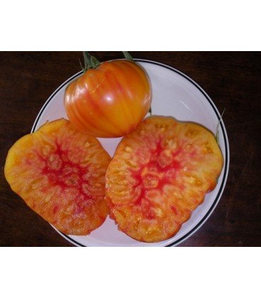 tomate Hillbilly (semillas ecológicas)