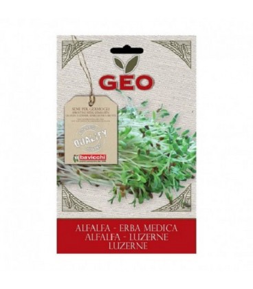 alfalfa para germinar geo