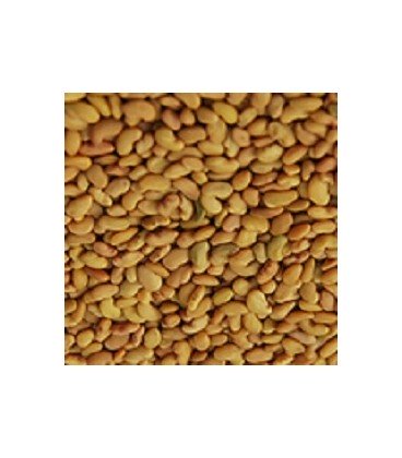 alfalfa para germinados (semillas ecológicas)