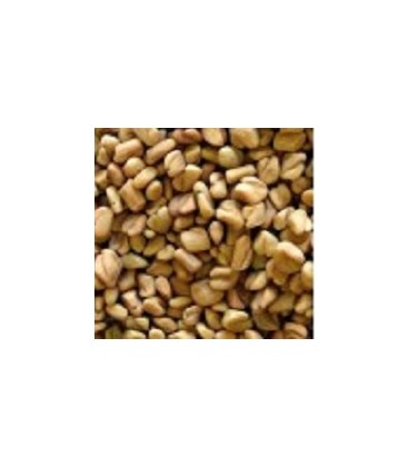 fenogreco para germinados (semillas ecológicas)