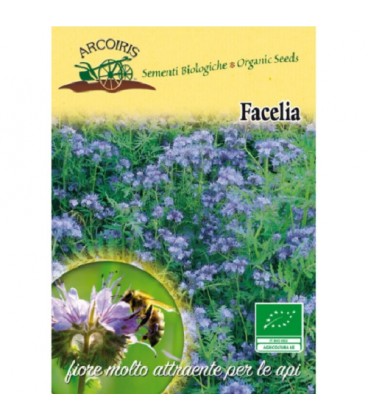Facelia (Phacelia tanacetifolia) semillas ecológicas
