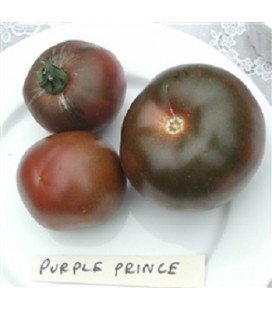Tomate Black prince (Semillas Ecológicas)
