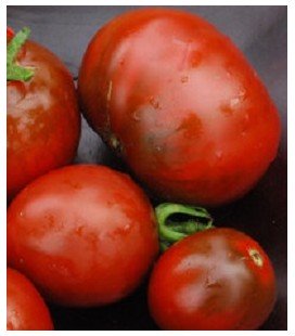 semillas tomate Nyagous