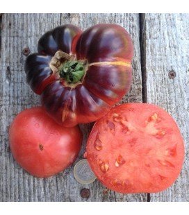 tomate blue betty (semillas ecológicas)