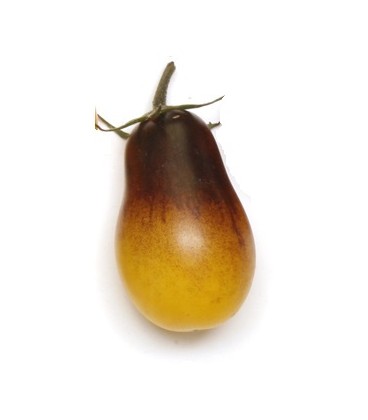 tomate Indigo Pear Drops
