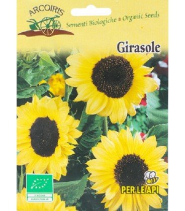 girasol (semillas ecológicas arcoiris)