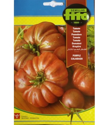 tomate purple calabash