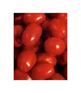 tomate sugar plum