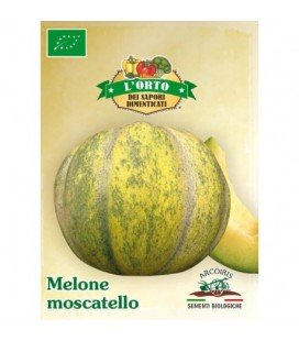melon moscatello (semillas ecológicas)