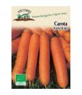 zanahoria nantesa de Chioggia 2 (semillas ecologicas Arcoiris)