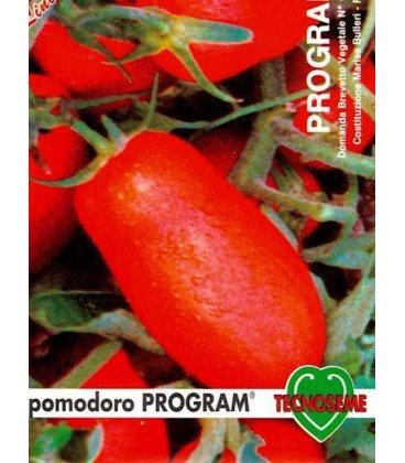 tomate hypeel 244 (program) semillas ecológicas