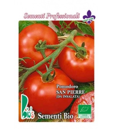 tomate san pierre (semillas ecológicas)