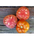 plantel de tomate antiguo de Valdeporres