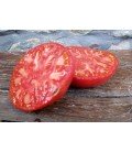 tomate artxabaleta