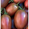 Tomate purpura ucraniano