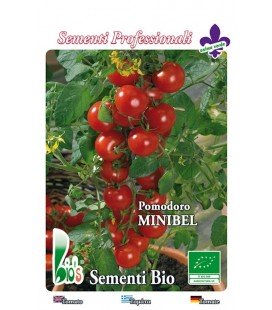 tomate cherry rojo tondino maremmano (semillas ecológicas)