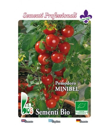 tomate cherry rojo tondino maremmano (semillas ecológicas)