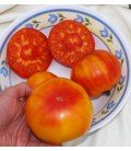 tomate marizol gold