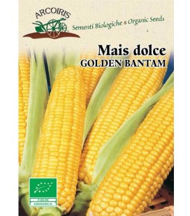 maiz dulce golden bantam (semillas ecológicas)