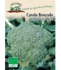brocoli calabrese medio tardío - semillas ecológicas