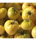 Tomate beaute blanche - semillas sin tratamiento