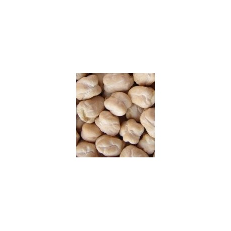 garbanzo pedrosillano - semillas ecológicas