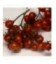 Tomate Christmas Grapes