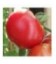 Tomate Siberian
