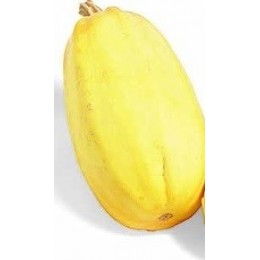 calabaza spaghetti - semillas