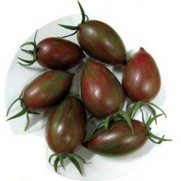 semillas de tomate cherry cebra purpura F1