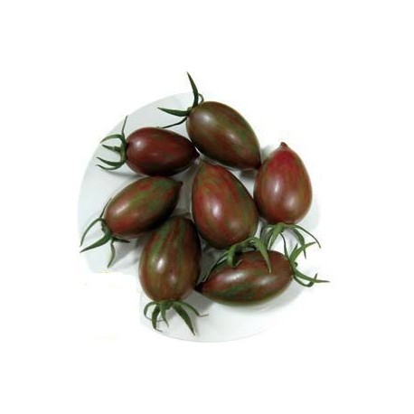 semillas de tomate cherry pera amarillo F1
