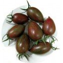 semillas de tomate cherry cebra purpura F1