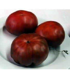 Tomate negro de Crimea - semillas sin tratamiento
