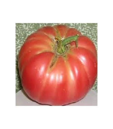 semillas ecológicas de tomate negro de Crimea