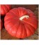 Calabaza Rouge Vif D'Etampes - semillas no tratadas