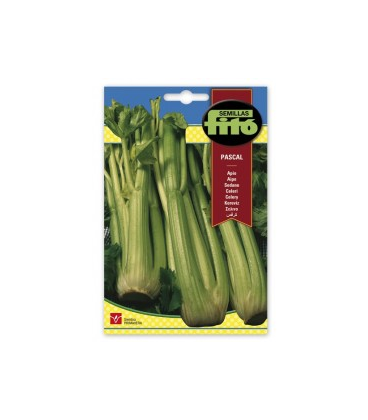 apio semillas