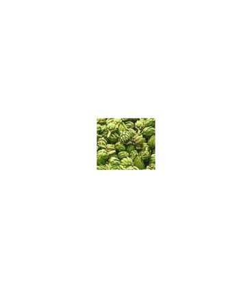 semillas de alcachofa verde globo