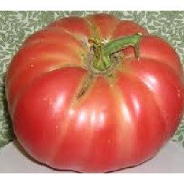 semillas ecológicas de tomate negro de Crimea